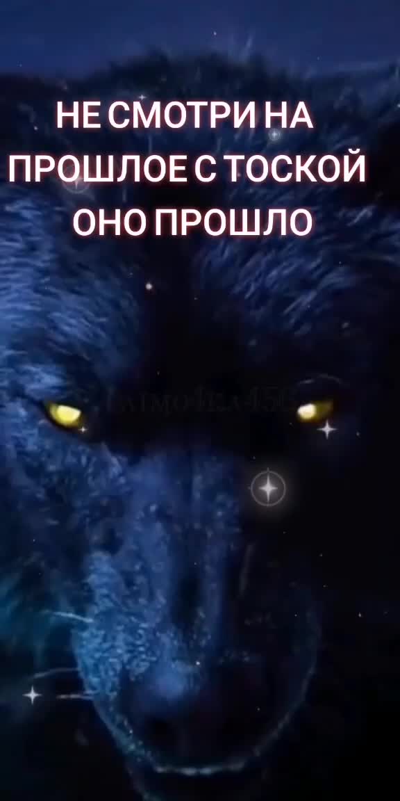 @✸Димон_Волк✸