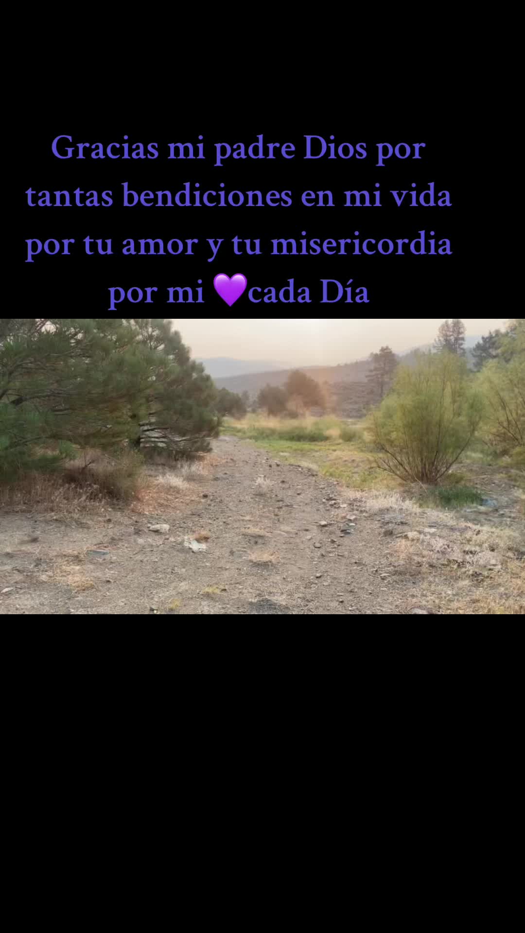 @La pantera de Oaxaca3