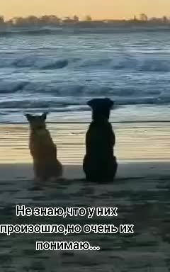 @Мария