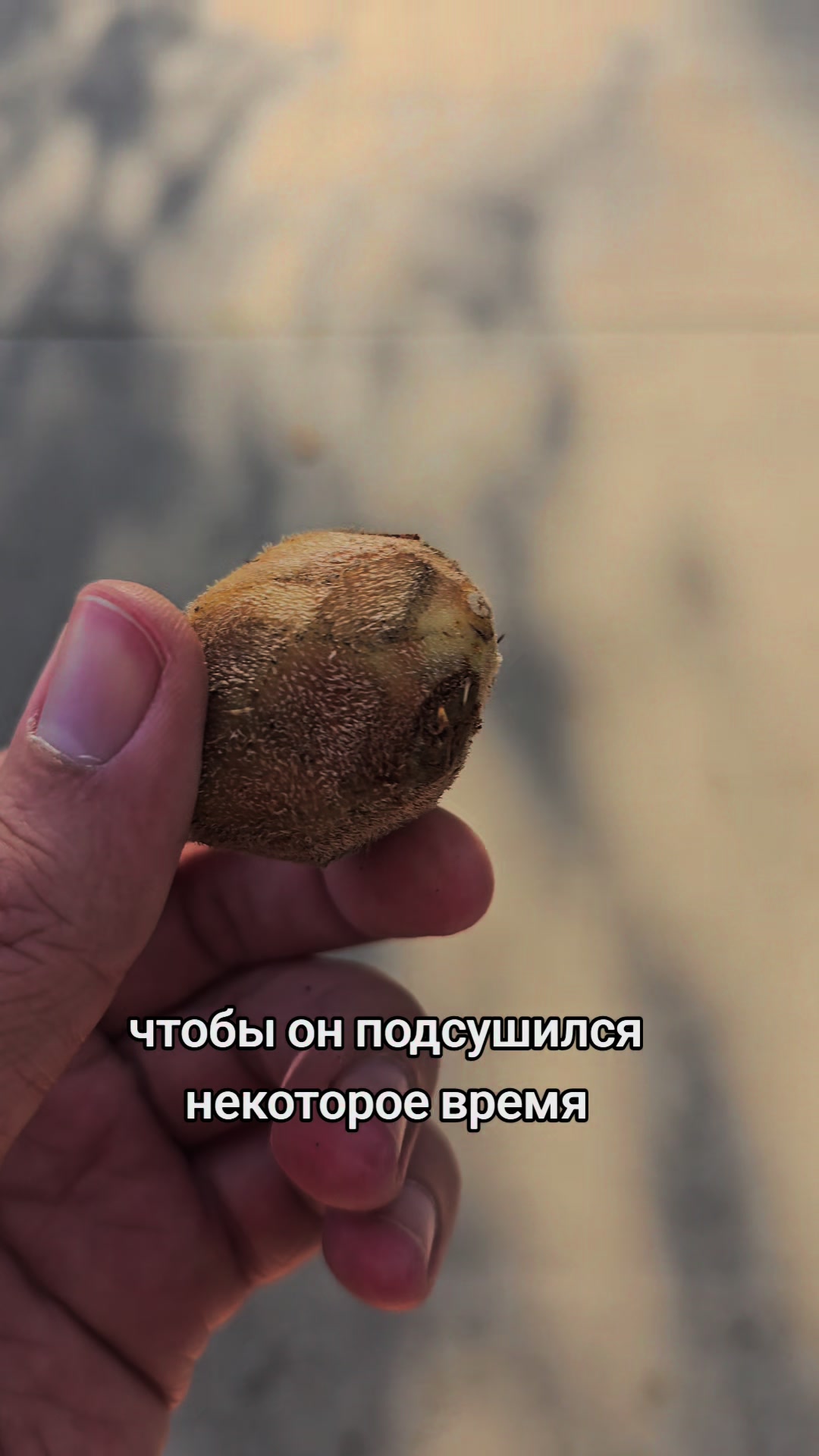 @МИША | Мистика 💎