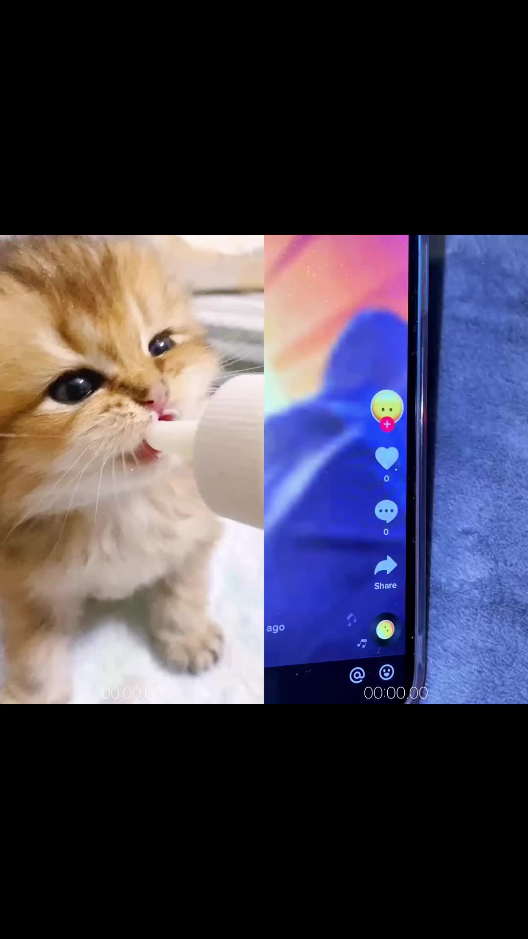 @MAX5Y67E4
