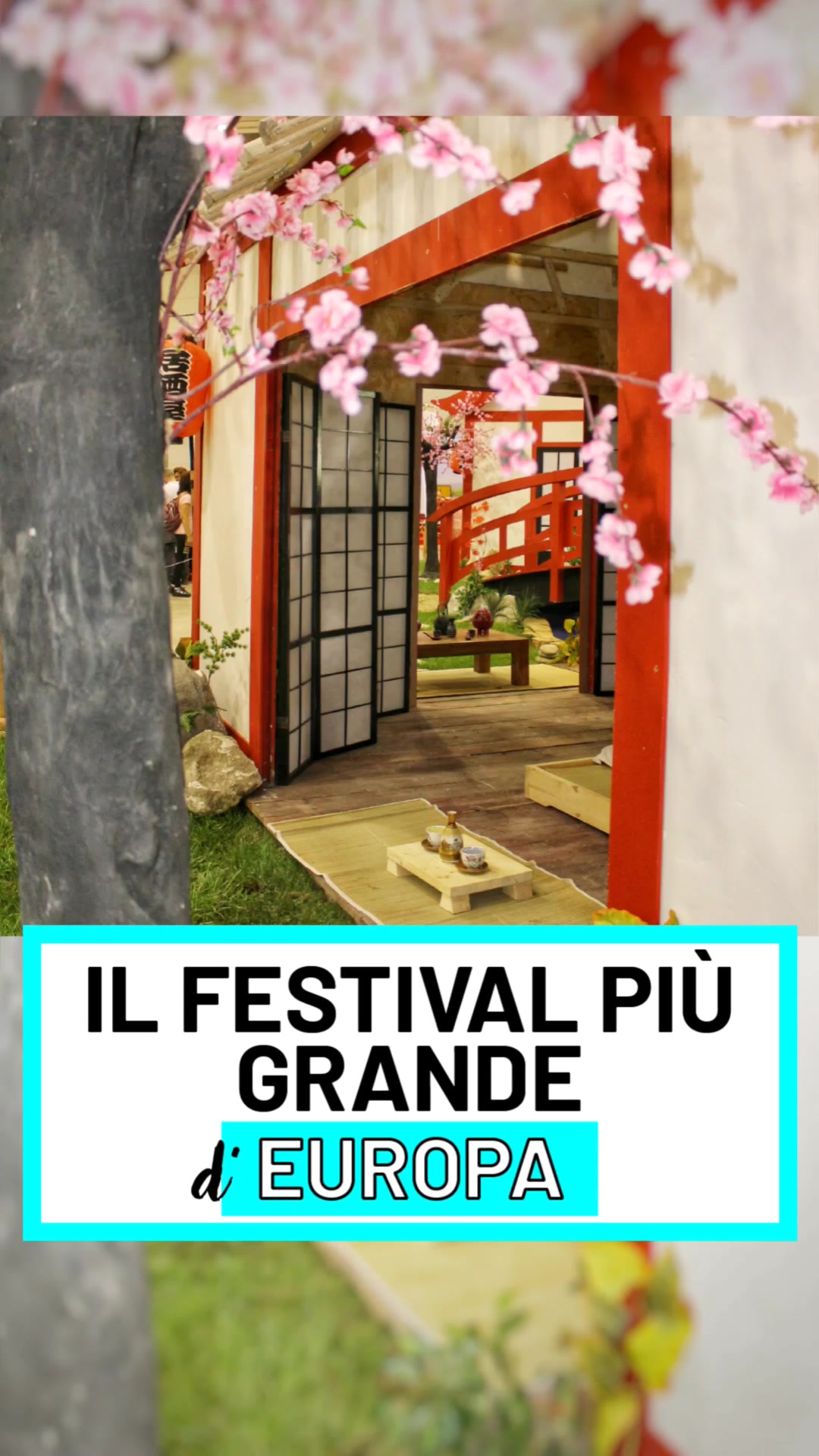 @viaggiareapiedipari