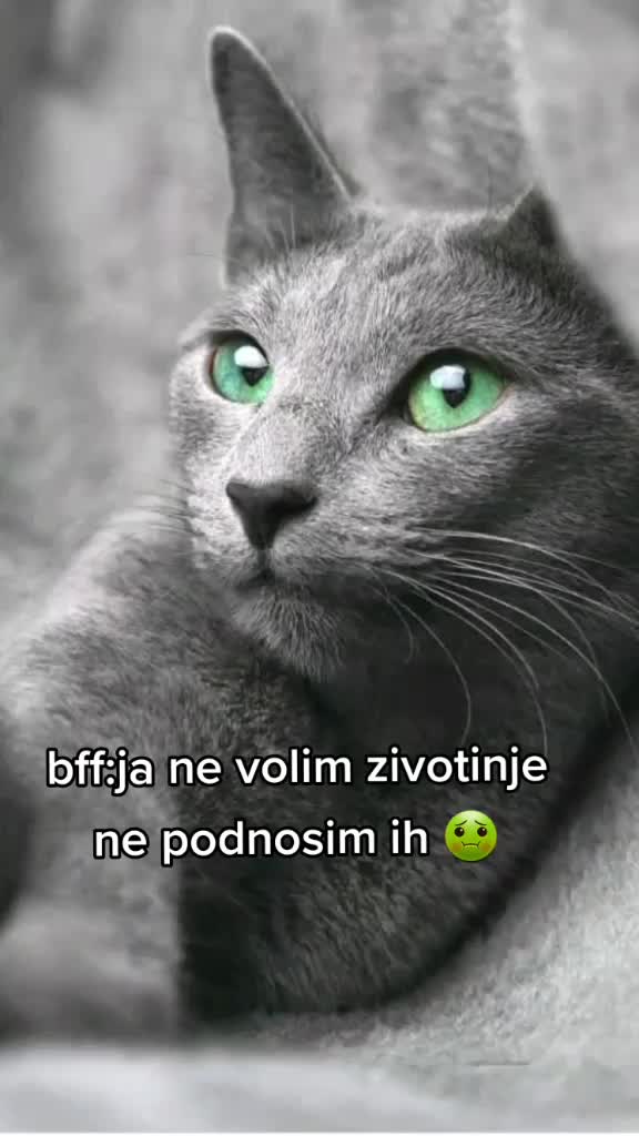 @love animals🥺❤
