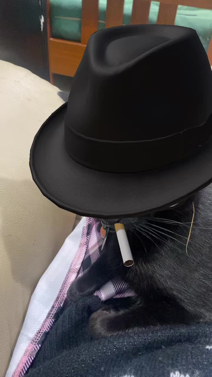 @trippy.frog