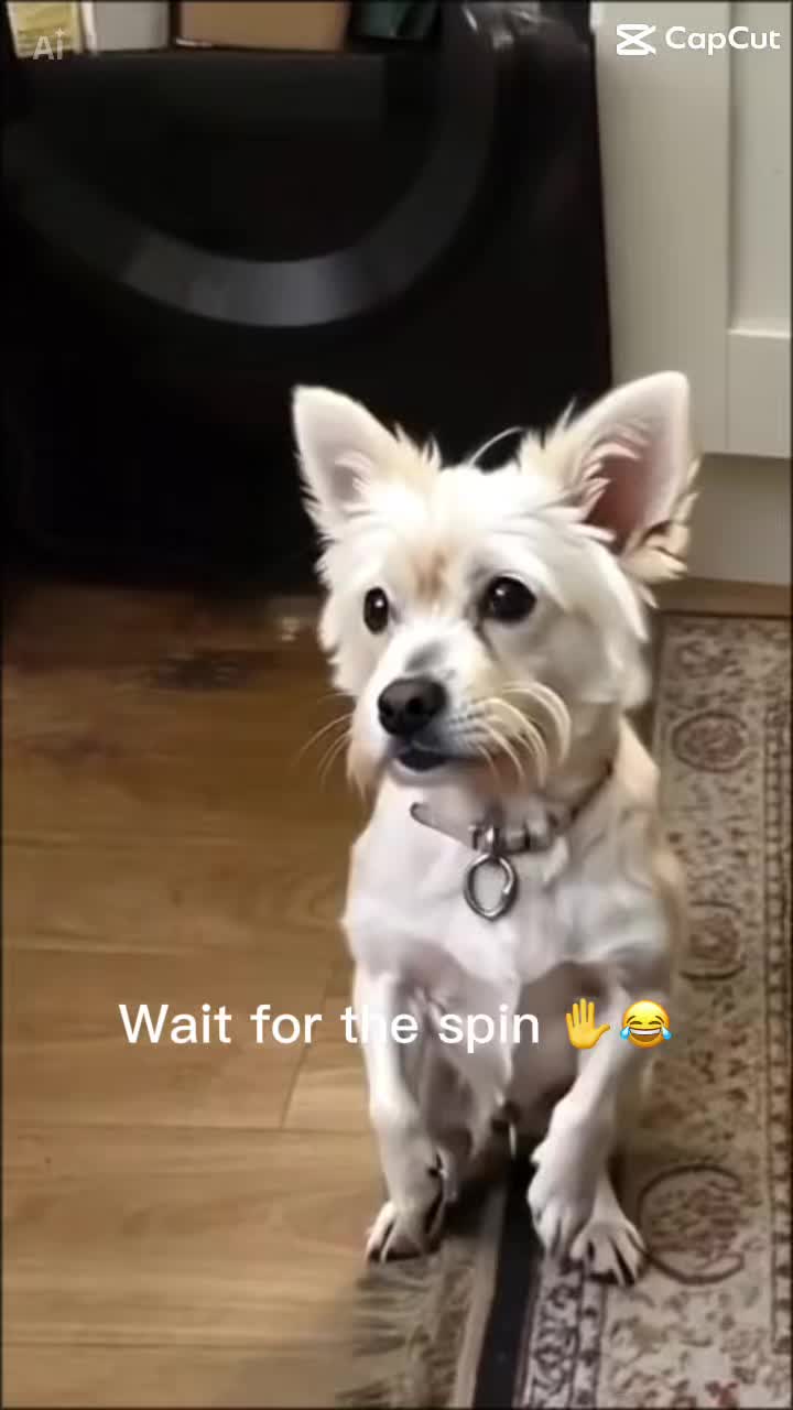 @โ the.furbs โ