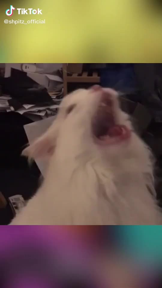 @Floris Turcan