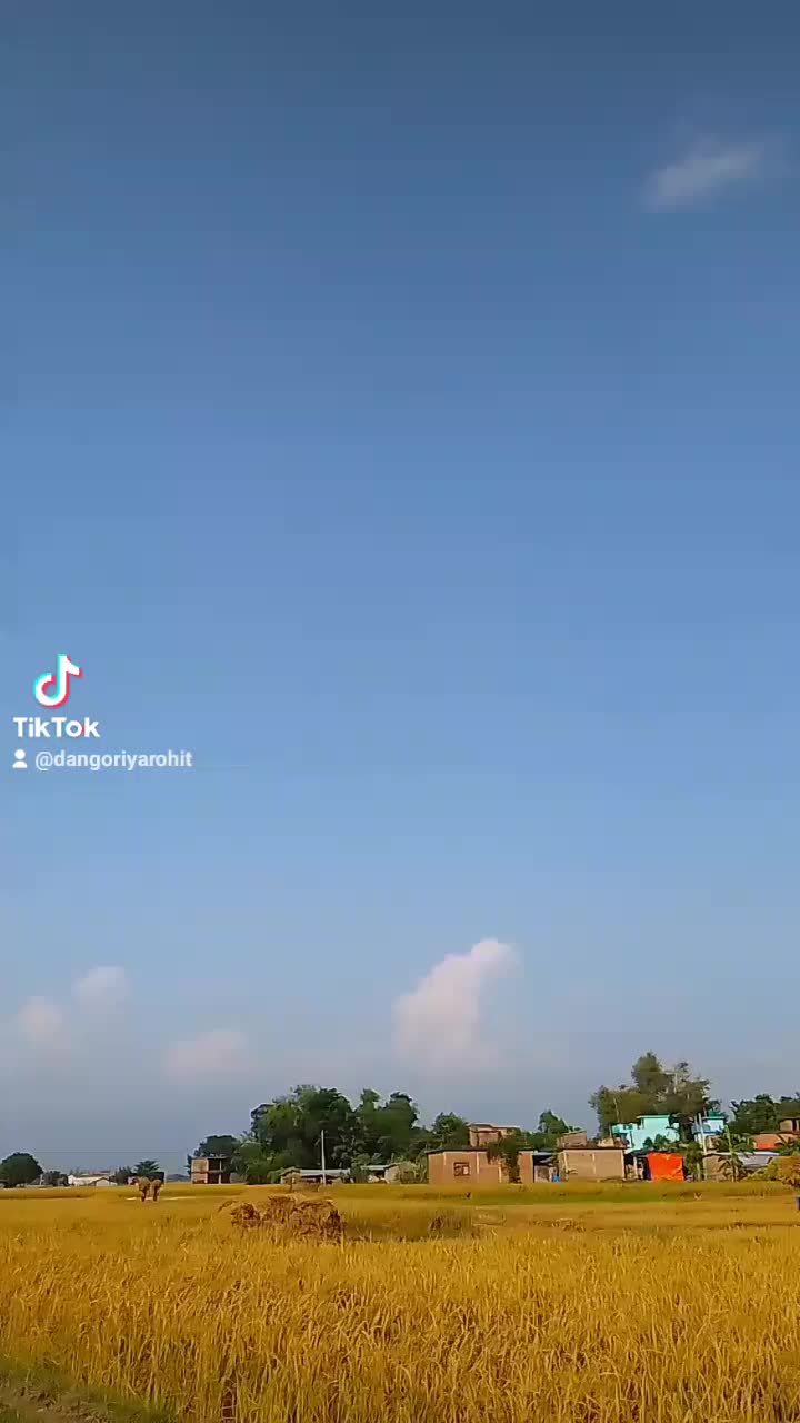 @Dangoriya Rohit