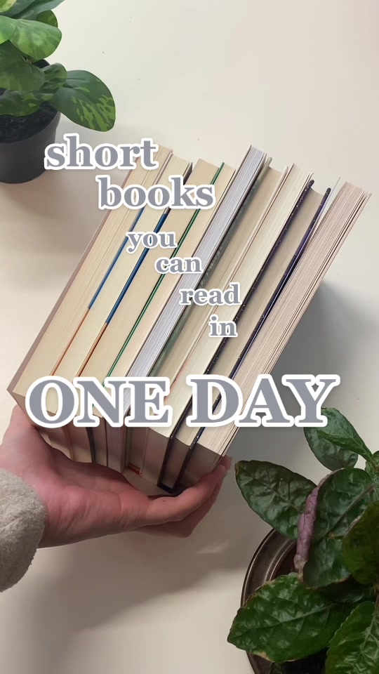 @Scribe 📚