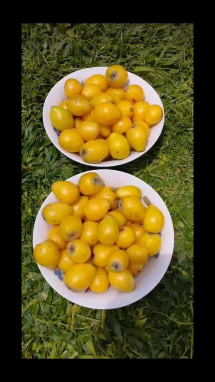 @moreen 254