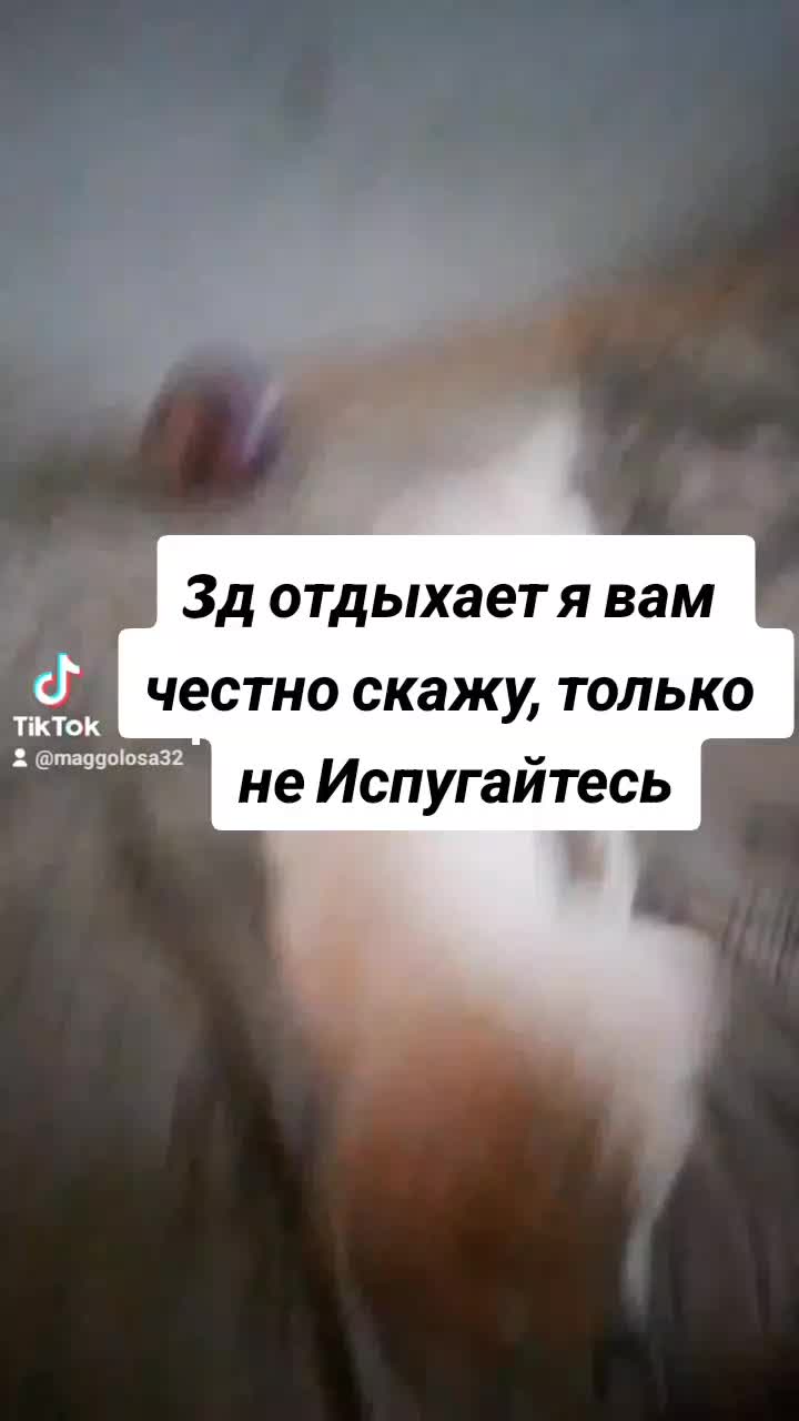 @Maggolosa