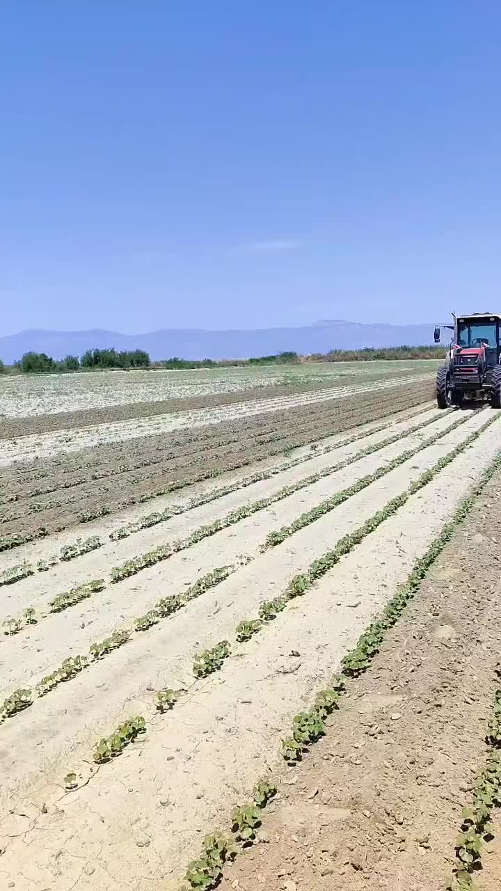 @Yiğit