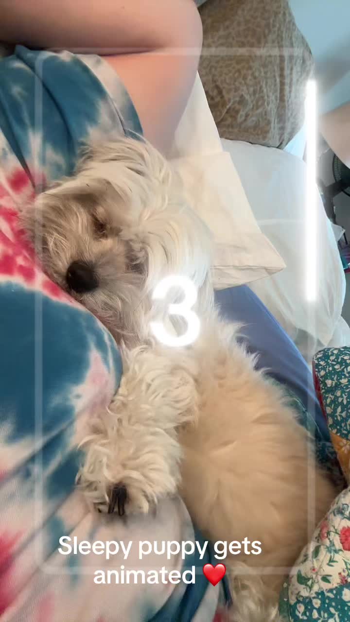 @Thor&rsquo;s_adventures