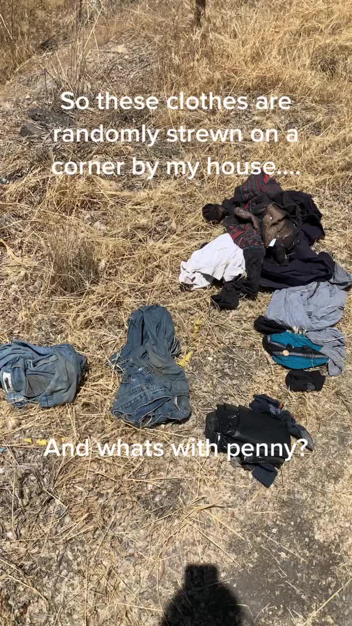 @user4593465005312
