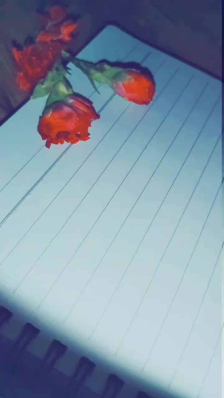 @🐣