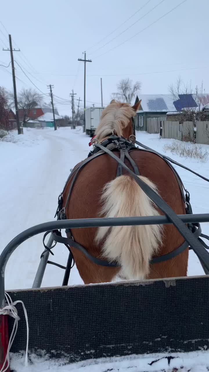 @А_нют_А🤪