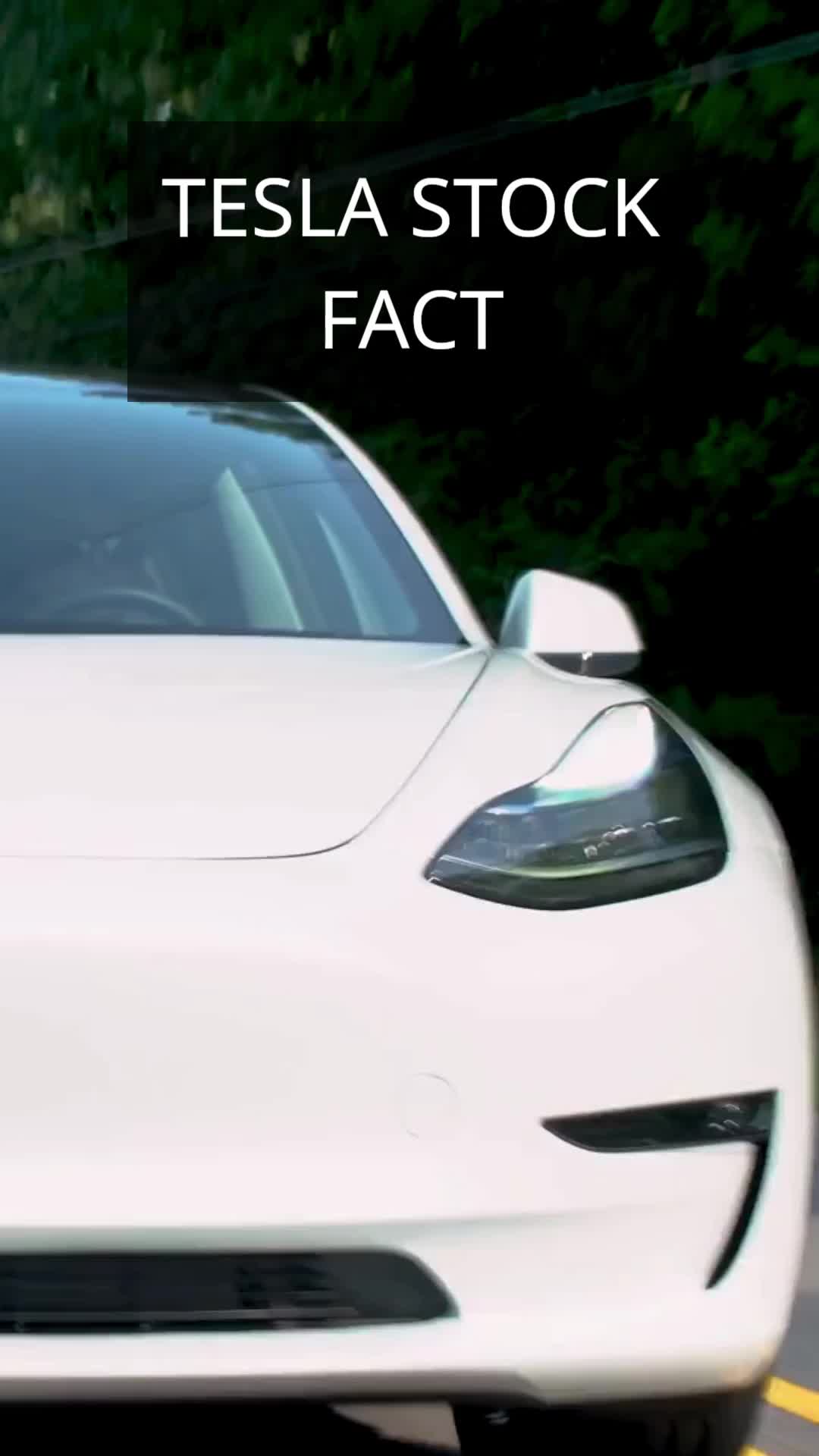 @Tesla Facts
