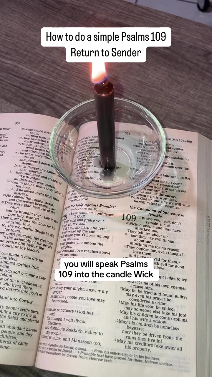 @Indra&rsquo;s Botanica