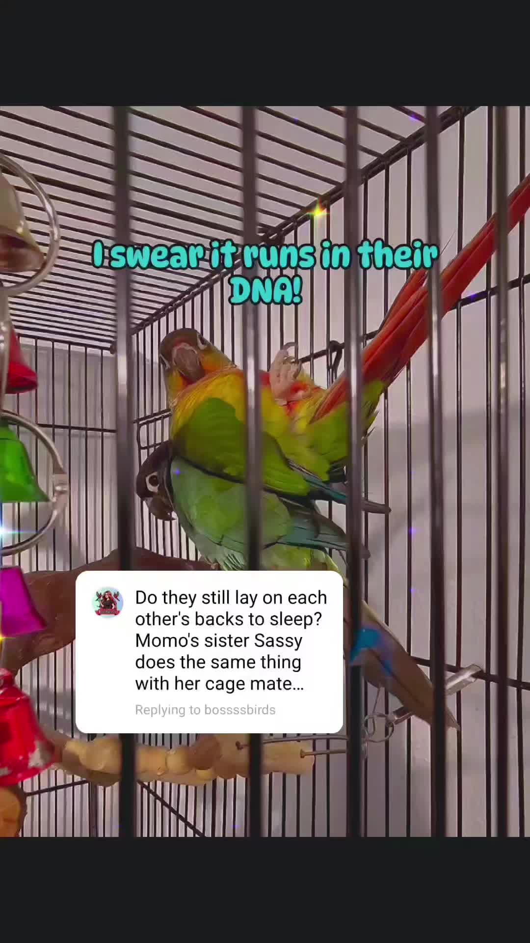 @dabosssslady