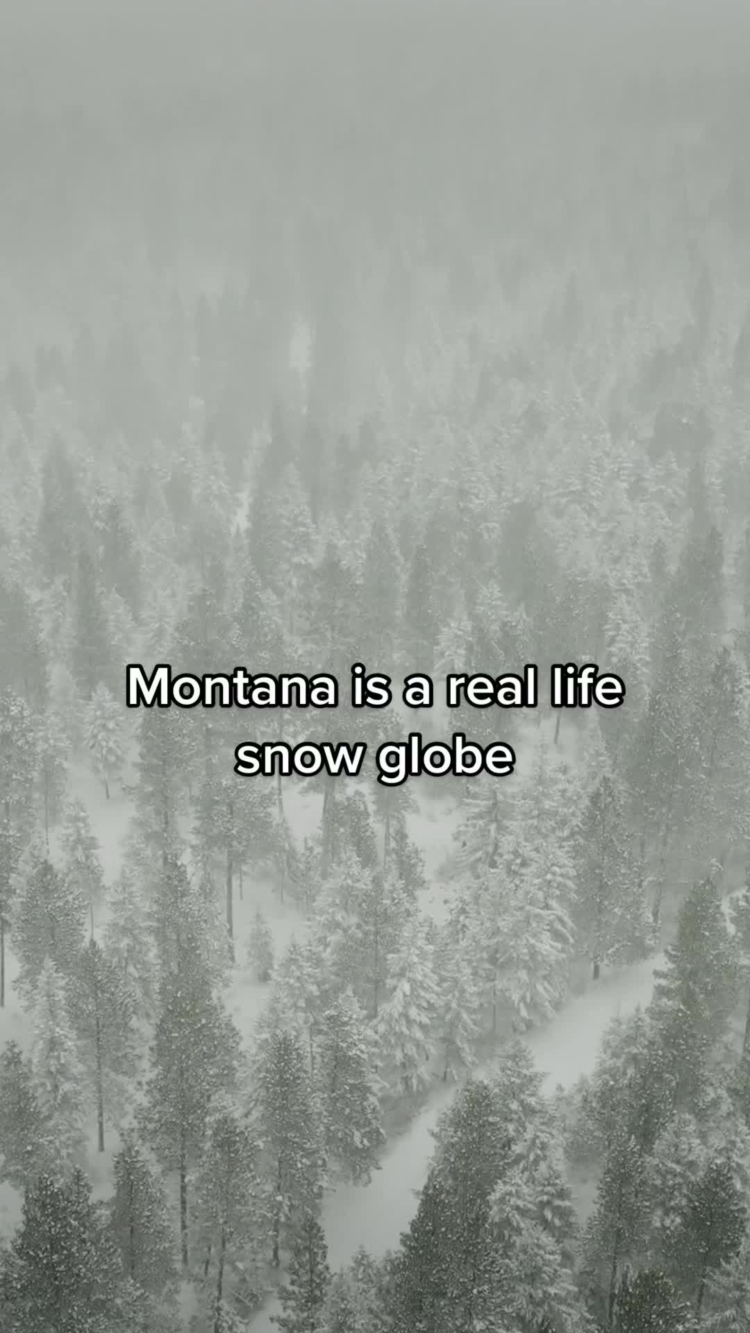 @Visit Montana