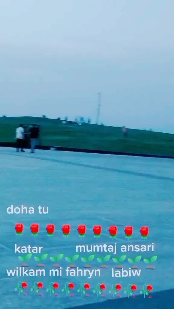 @mumtajansari