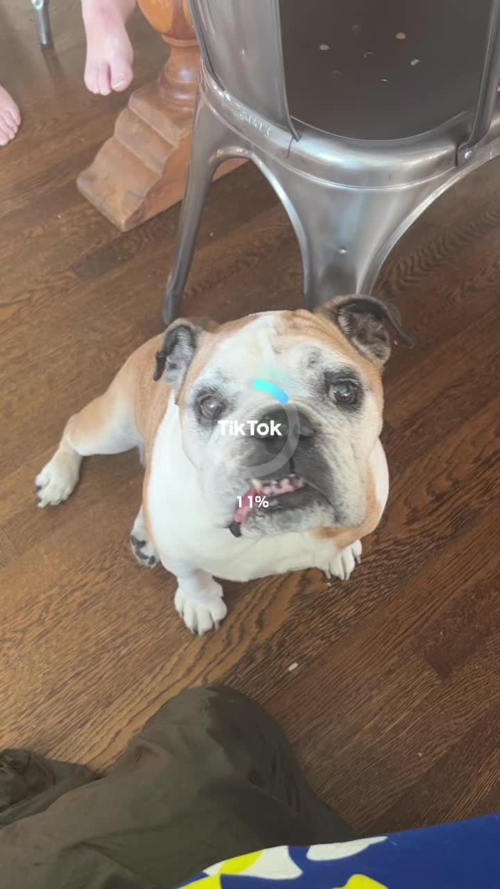@Ella
