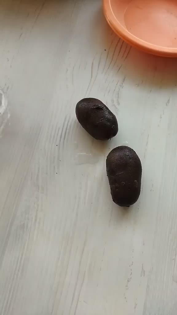 @Светлана Мнацаканян