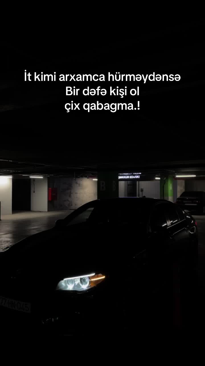 @⚜️Necef Quliyev⚜️