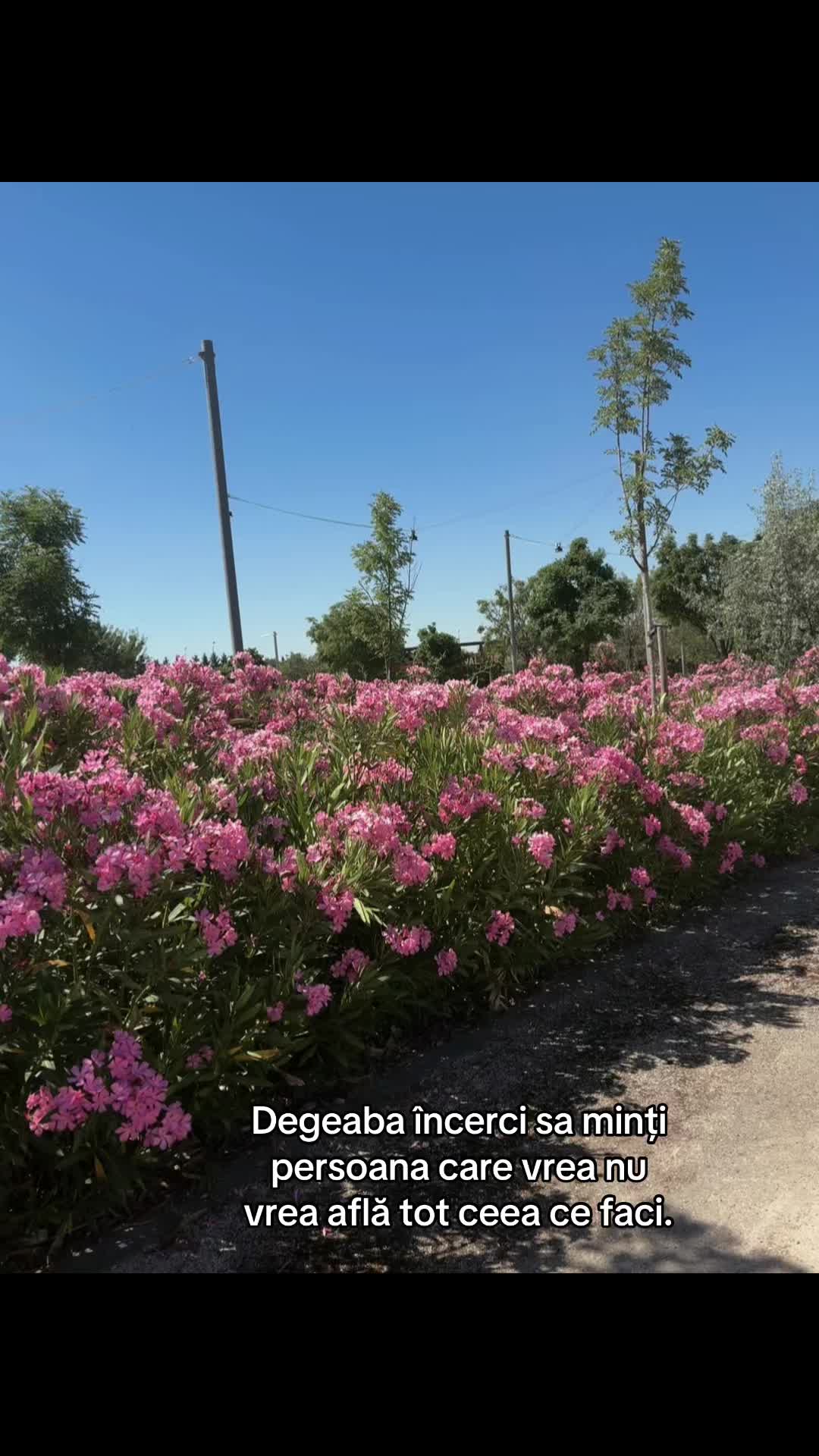 @Stefi_๐