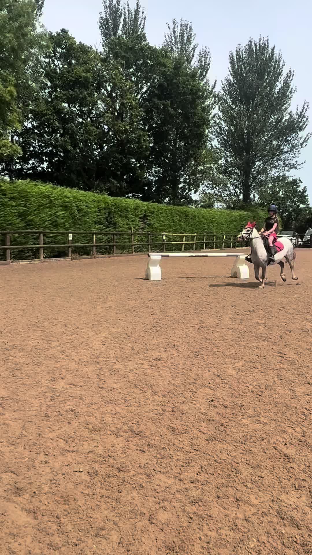 @poppy 🌾🐴 🇬🇧