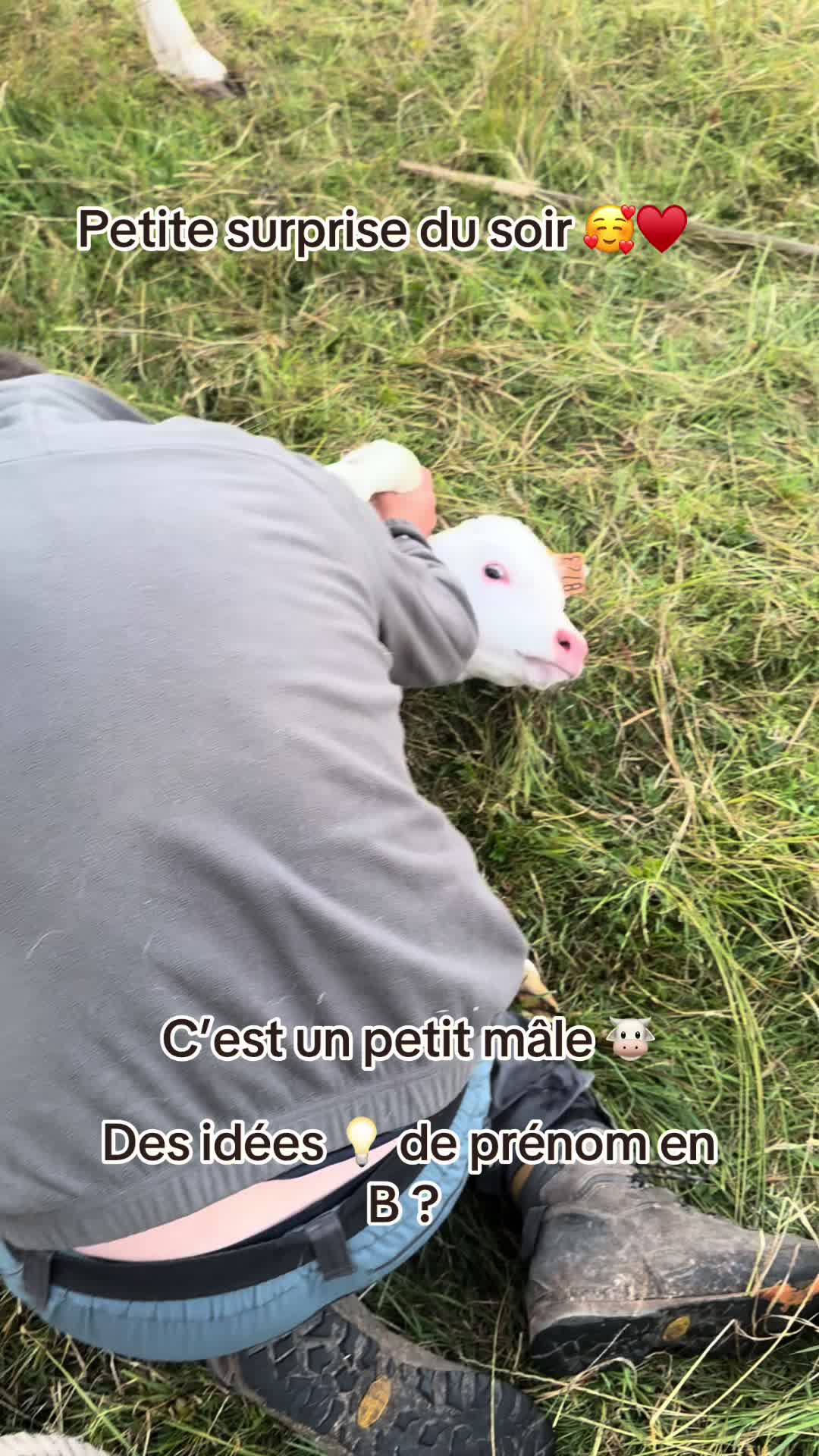 @ᏦᎥᎥᏦᏗᏗ 🌾🚜🐮