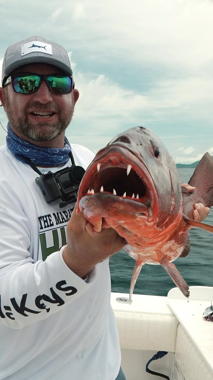 @TwoConchs