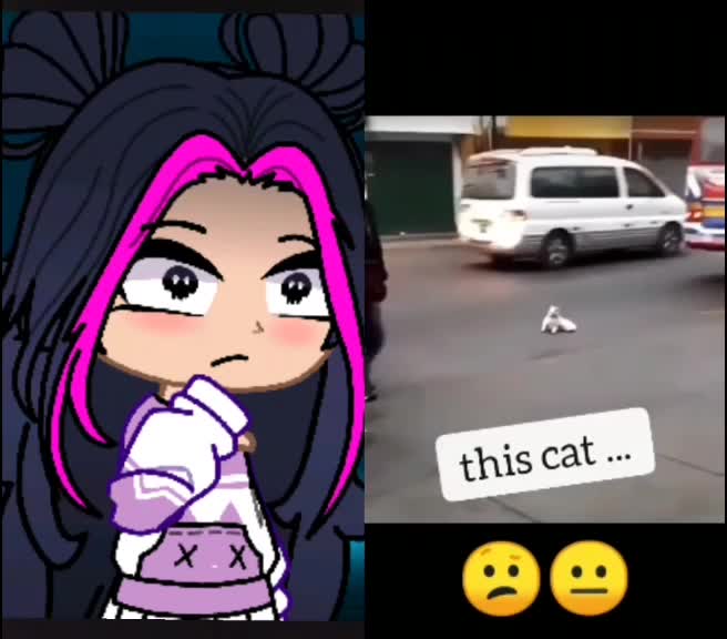 @ʕ&acute;&bull;ᴥ&bull;`ʔidkʕ&acute;&bull;ᴥ&bull;`ʔ