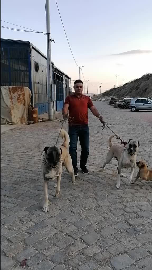 @FurkanK&ouml;se28