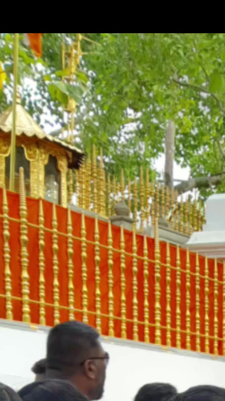 @madurupasinghe3