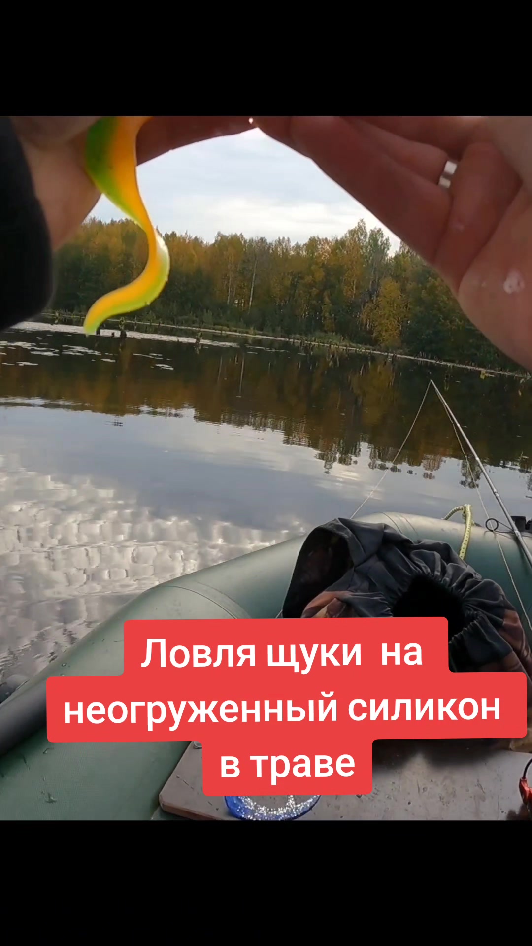 @Колька Рыбак по фану.Не основа