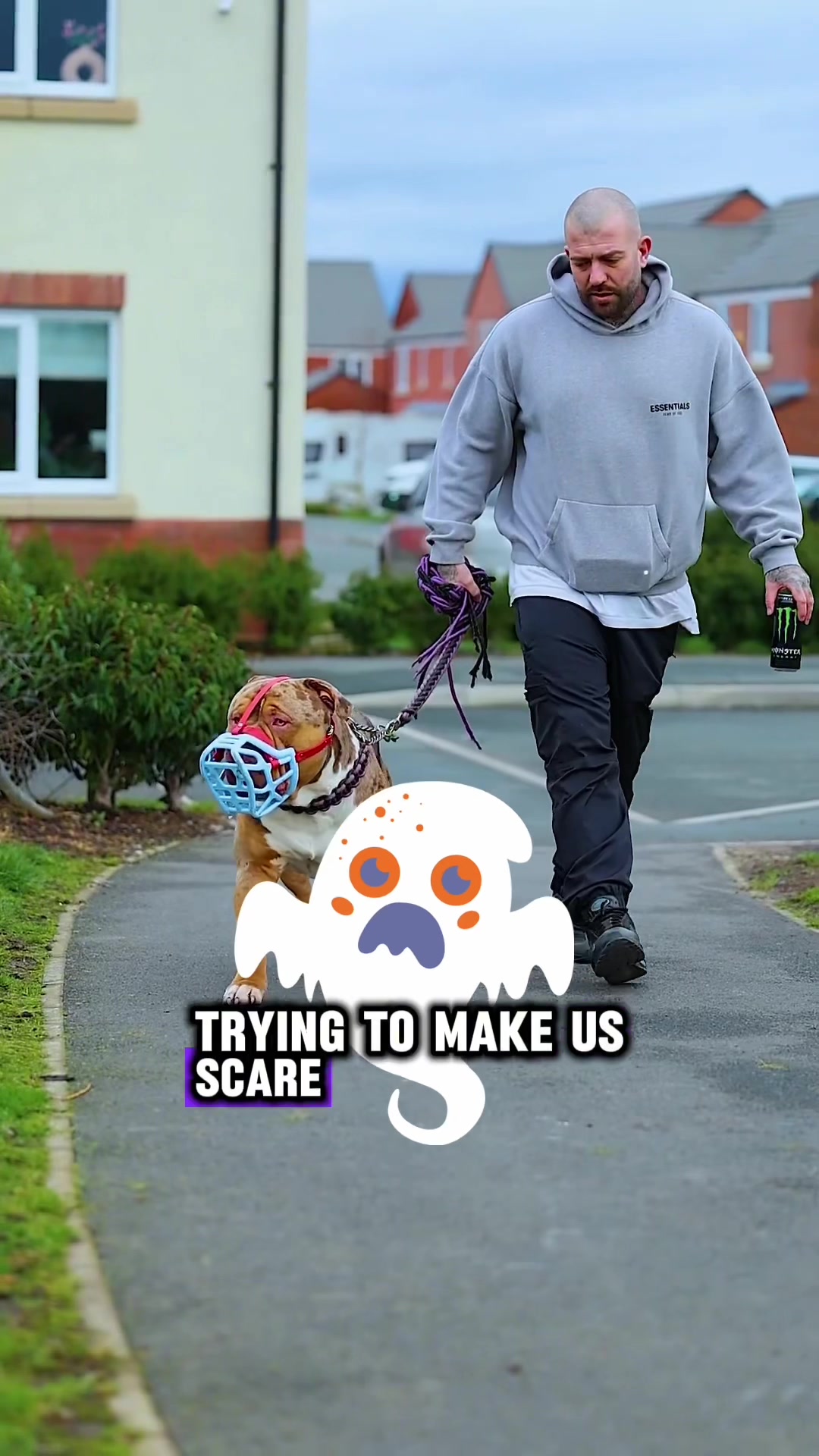 @K9 Kingz