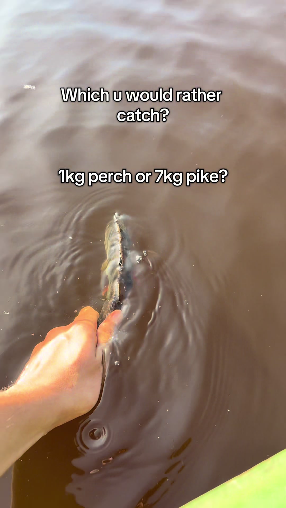 @Fishing With Alekss 🎣💎