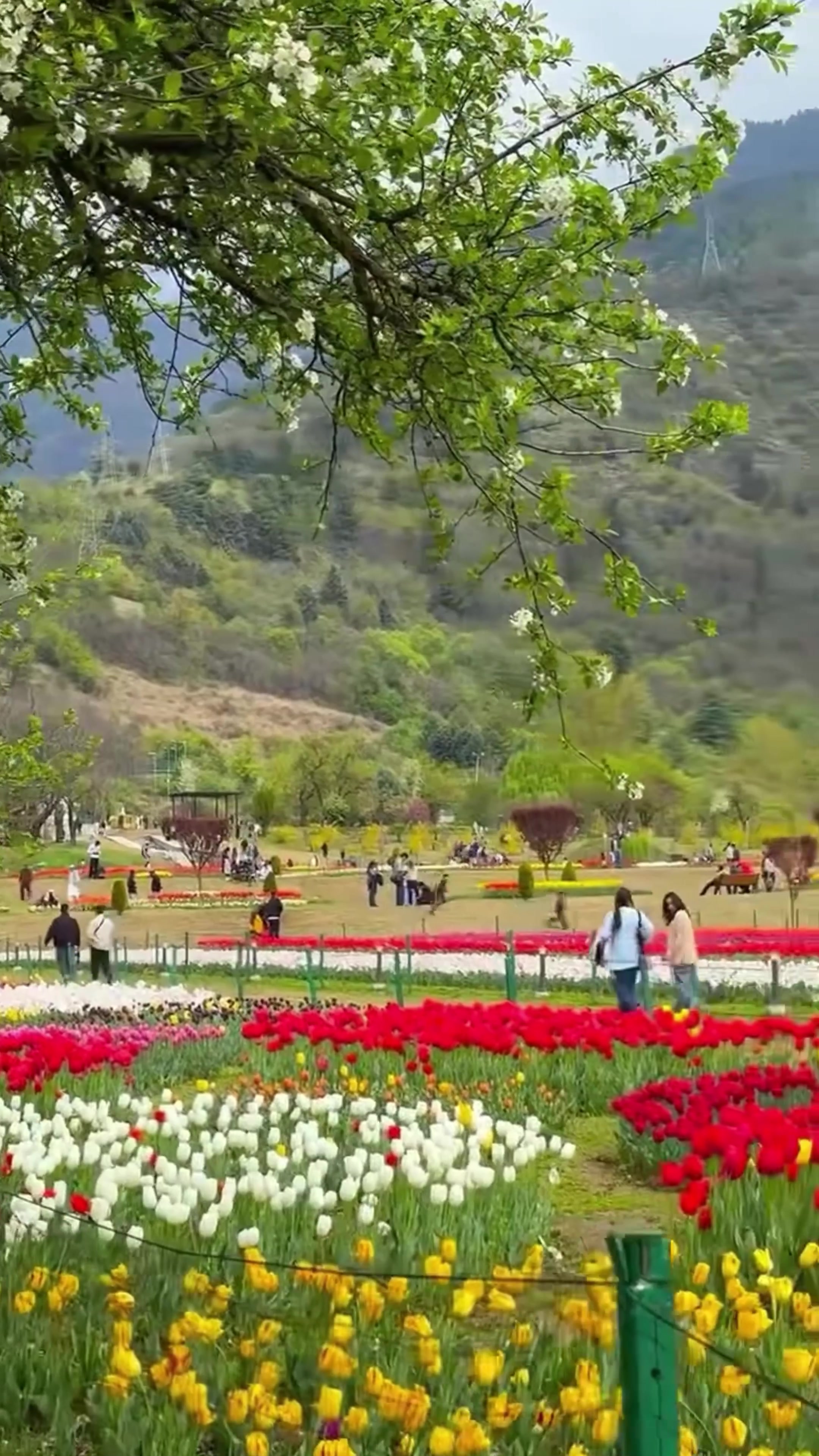 @World 🌍 beauty