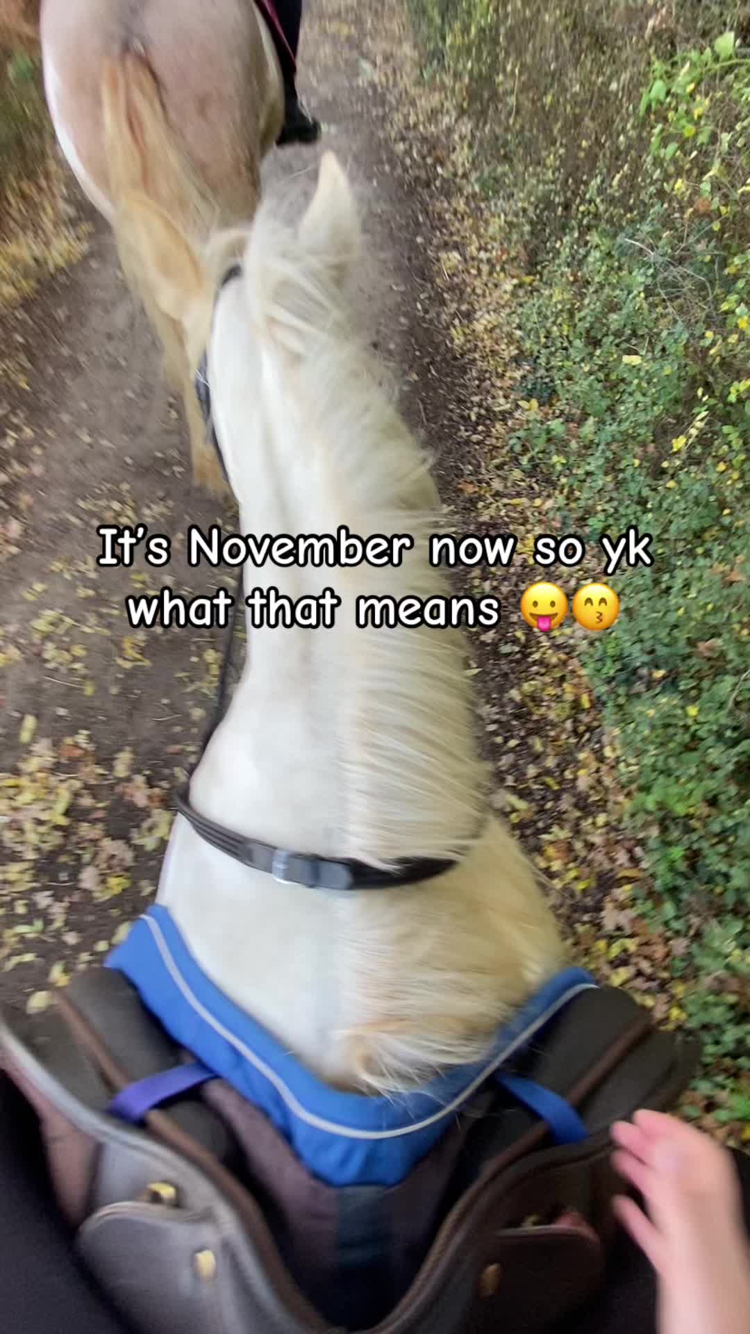@Soph 🤍🐴