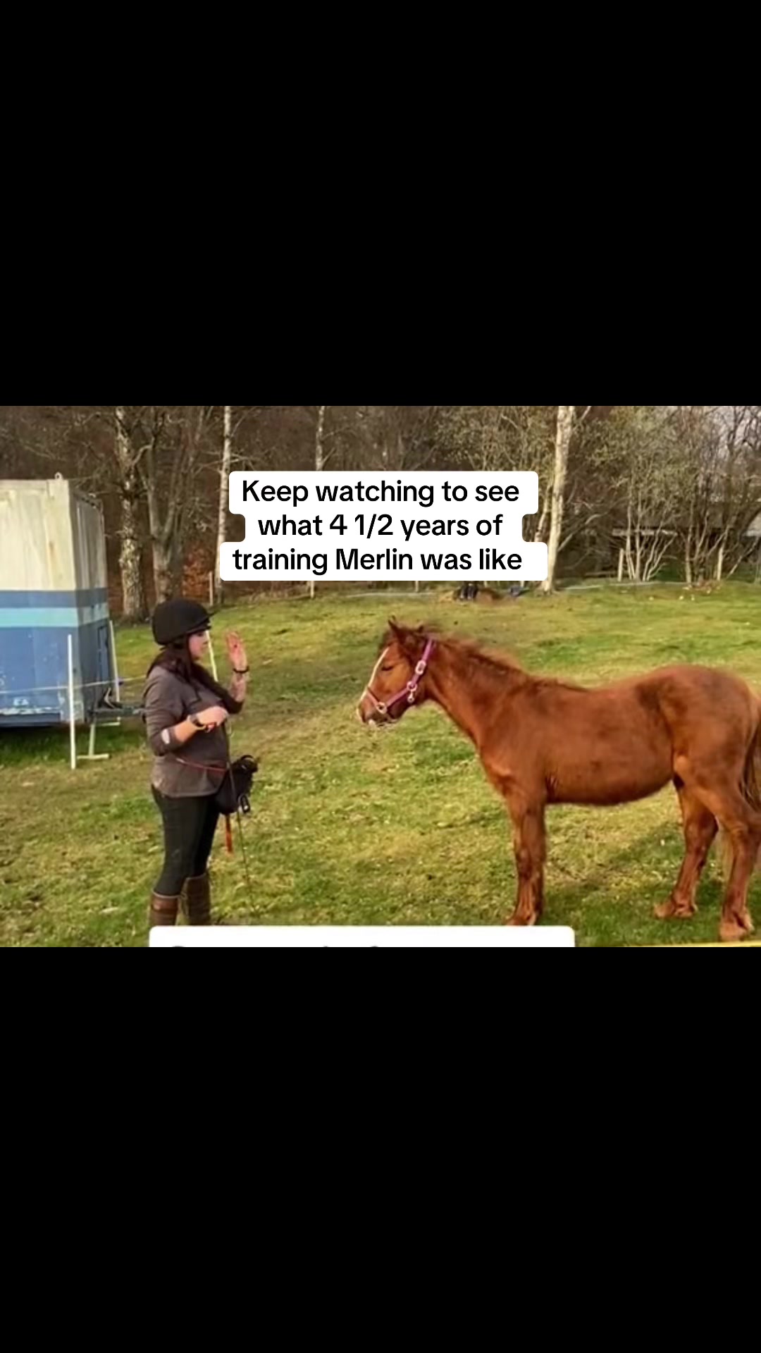 @Claire & Merlin Adventures