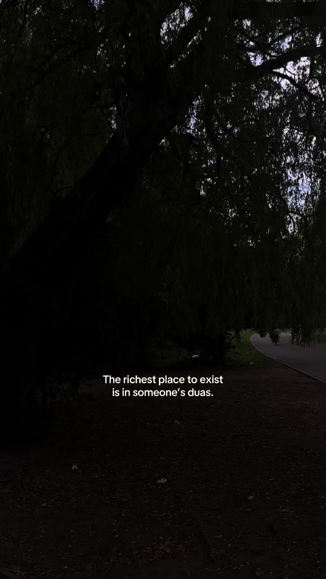 @No Doubt🕊️