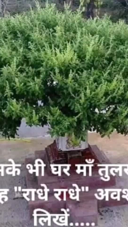 @user9911813386604
