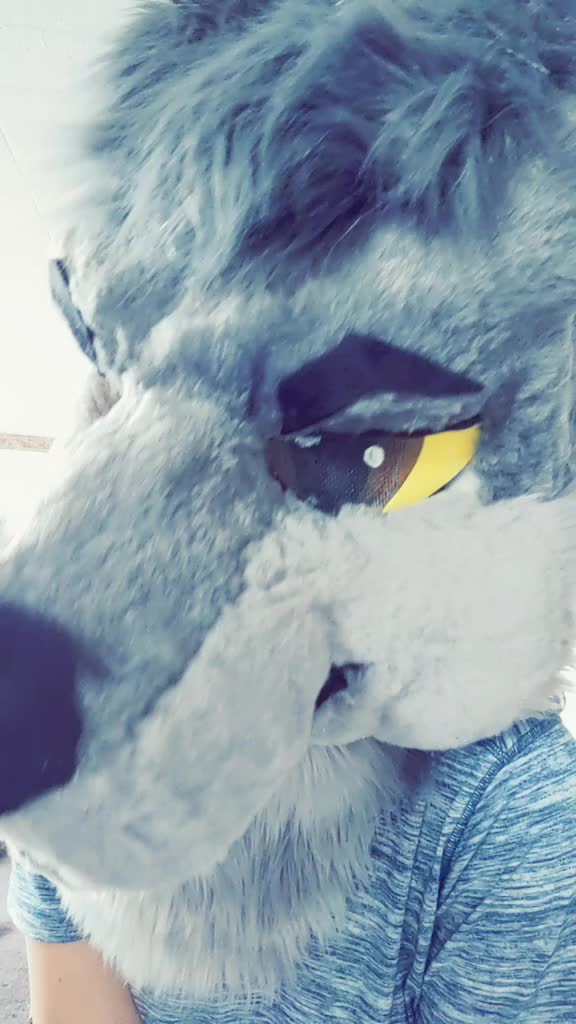 @CookieShiba