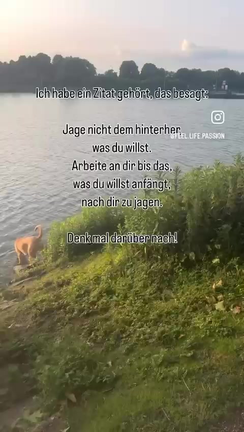 @Denise Muschel 🌸