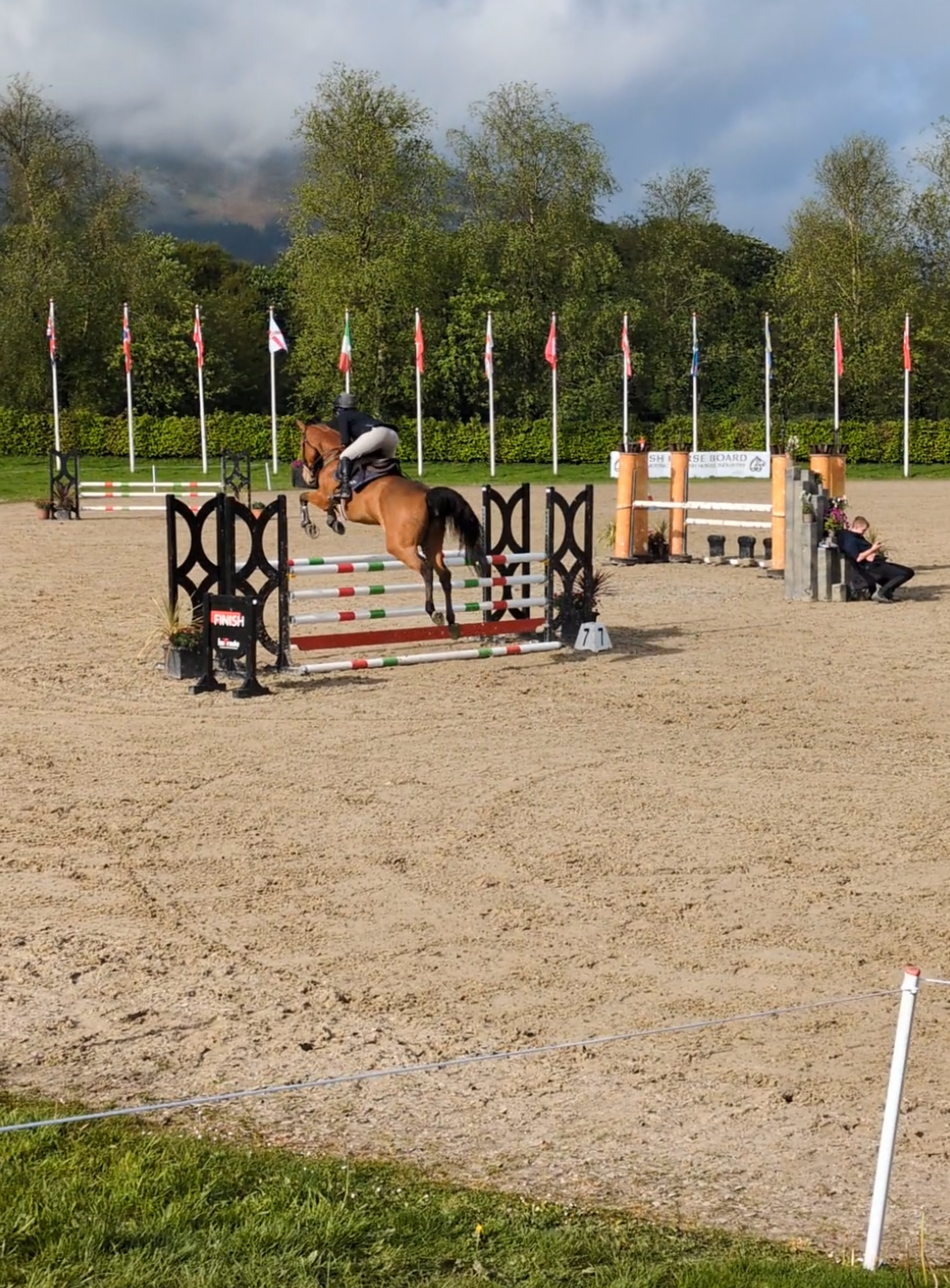 @irishsporthorses