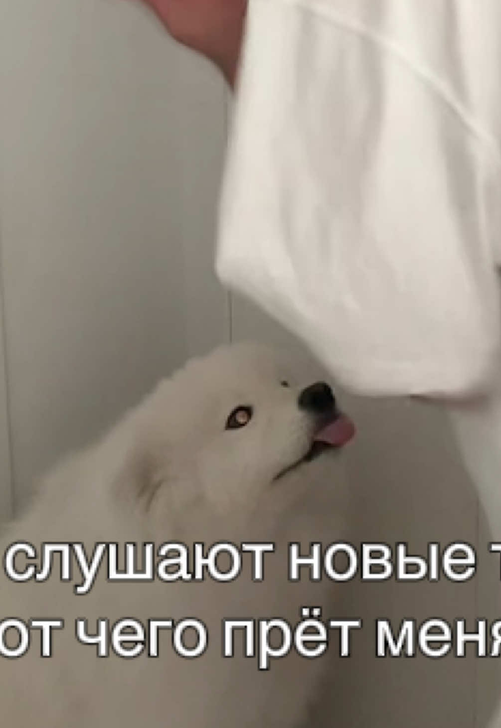 @shurochka | life