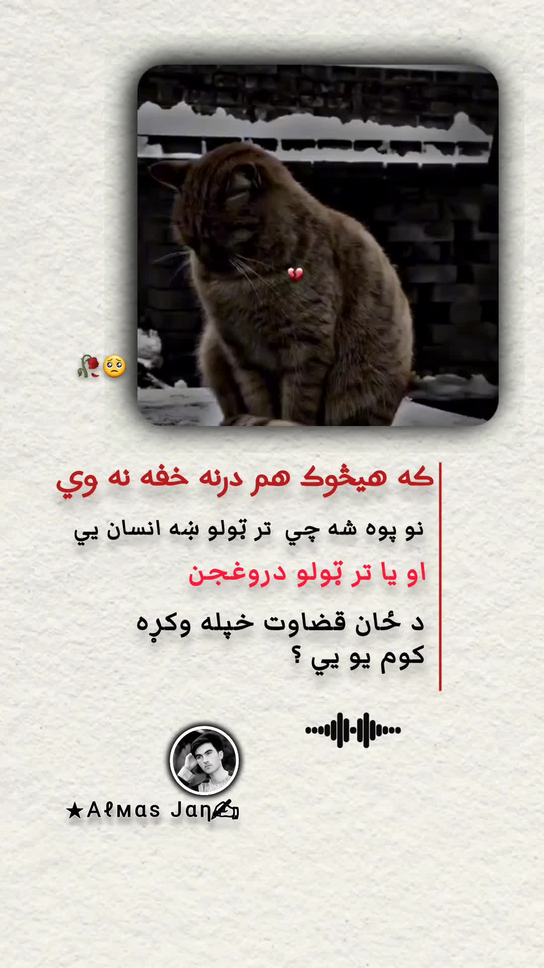 @𓆩𝐀𝐥𝐦𝐚𝐬 𝐉𝐚𝐧𓆪