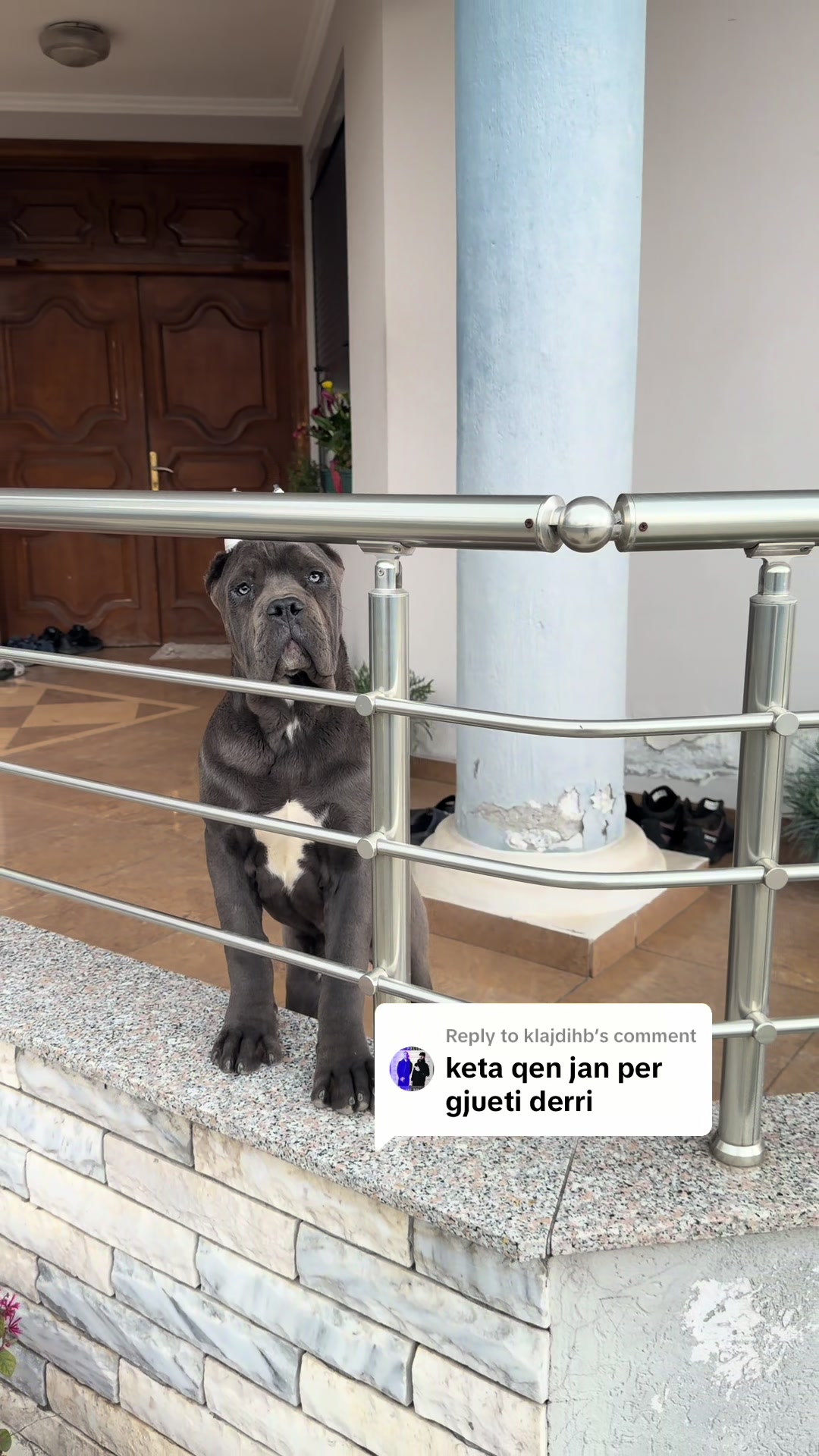 @guardiani_di_lako