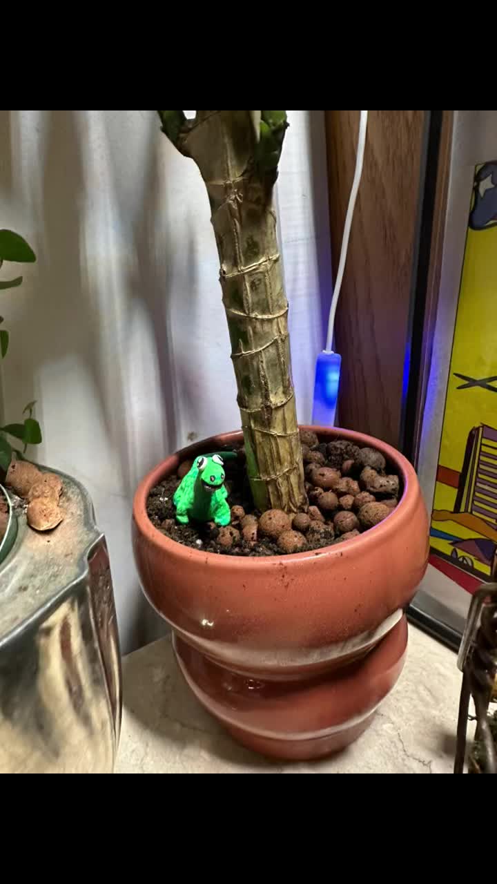@Art-Plant-Upcycle