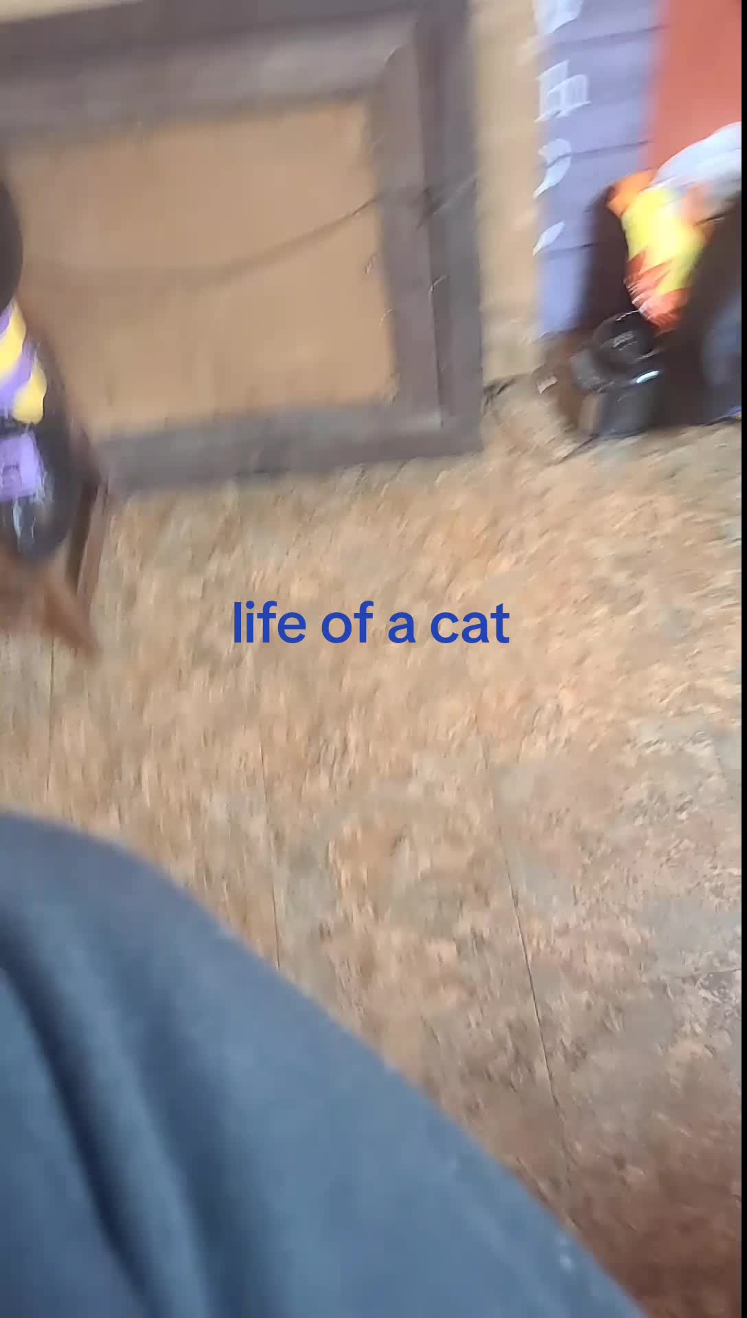 @SuperLuligiLJ